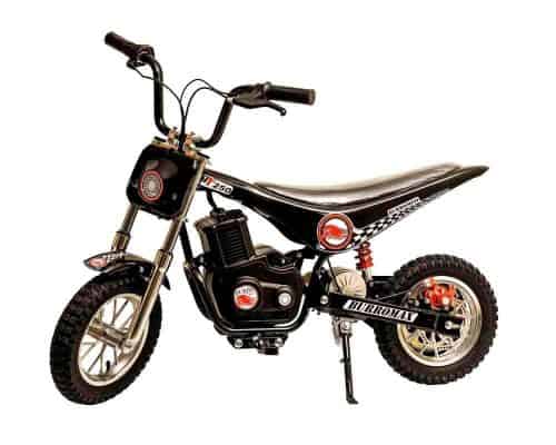 Burromax TT250 電動單車