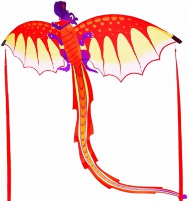 Zhuoyue Supersize 3D Dragon Kite